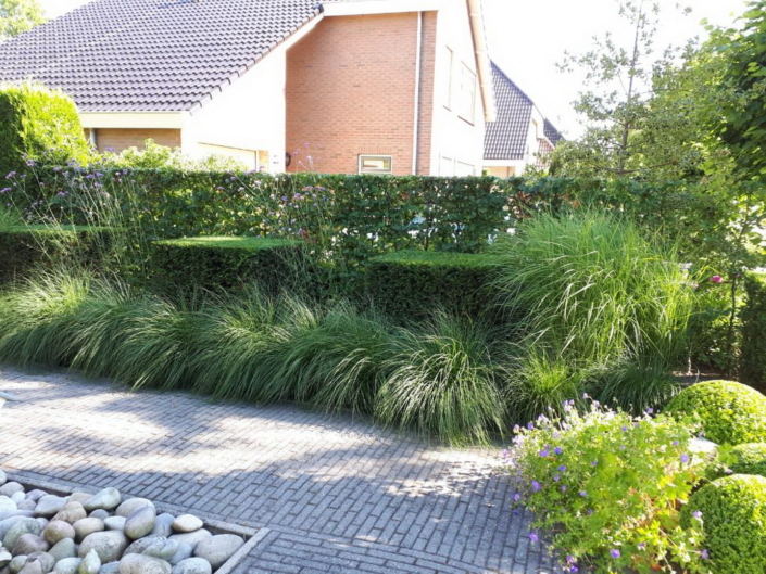 Aangelegde tuin